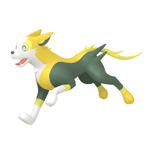 Boltund
